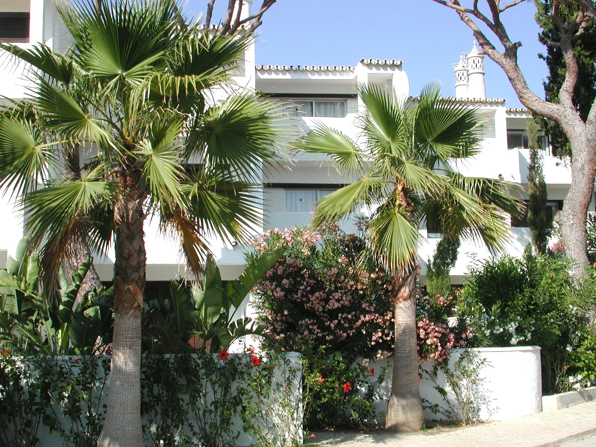 Vale Do Garrao Villas Almancil Ngoại thất bức ảnh