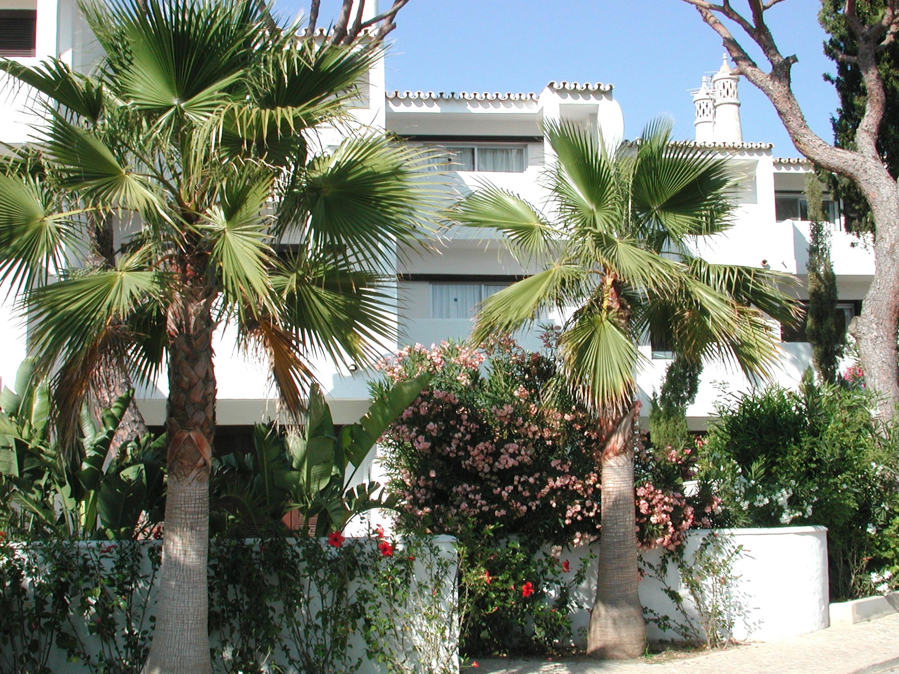 Vale Do Garrao Villas Almancil Ngoại thất bức ảnh
