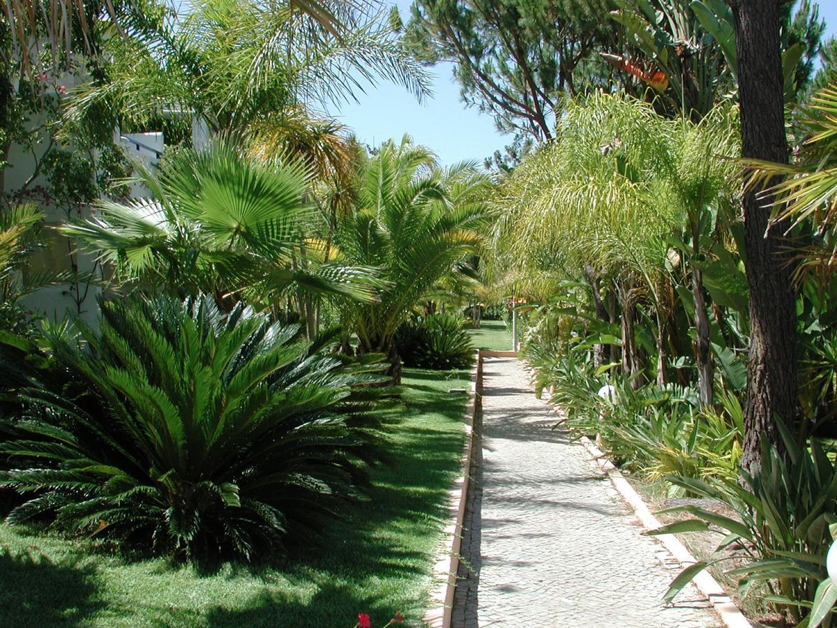 Vale Do Garrao Villas Almancil Ngoại thất bức ảnh